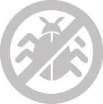 Virusrensning